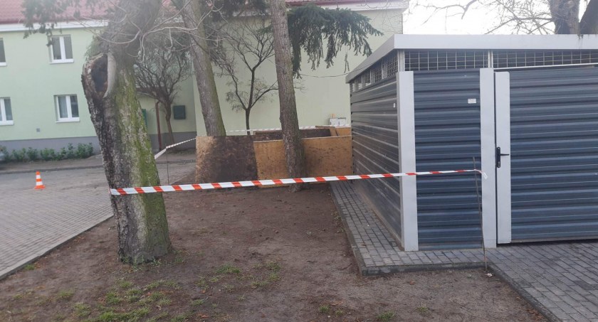 Zdjęcia: Społeczniak