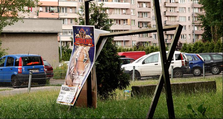 Zdjęcie Sergiusz  - fotografia