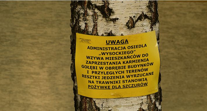 Zdjęcie Sergiusz  - fotografia