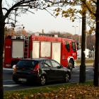Fotka nr 1 z 3