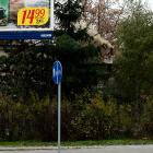 zdjęcie nr 11