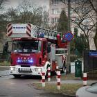 Fotka nr 2 z 4