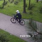 Fotka nr 2 z 4