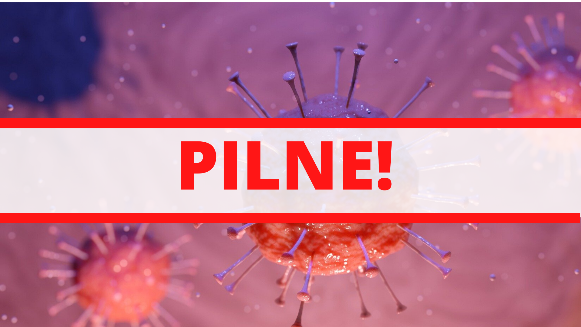 Zdjęcie: Targówek Warszawa wiadomości Targówek Dzielnica Warszawy Portal Targówka