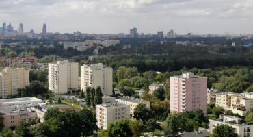 Drzewa przy ulicy Wiernej tworzą zagrożenie dla mieszkańców? Jest wniosek o wykonanie przeglądu