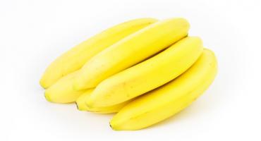 Warsztaty tatuażu dla dzieci i młodzieży - Banana Ink