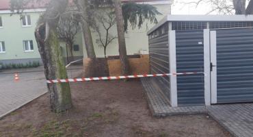 Ogrodzenie na Samarytance. Część druga