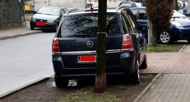 Z tyłu to nie widać trawy...